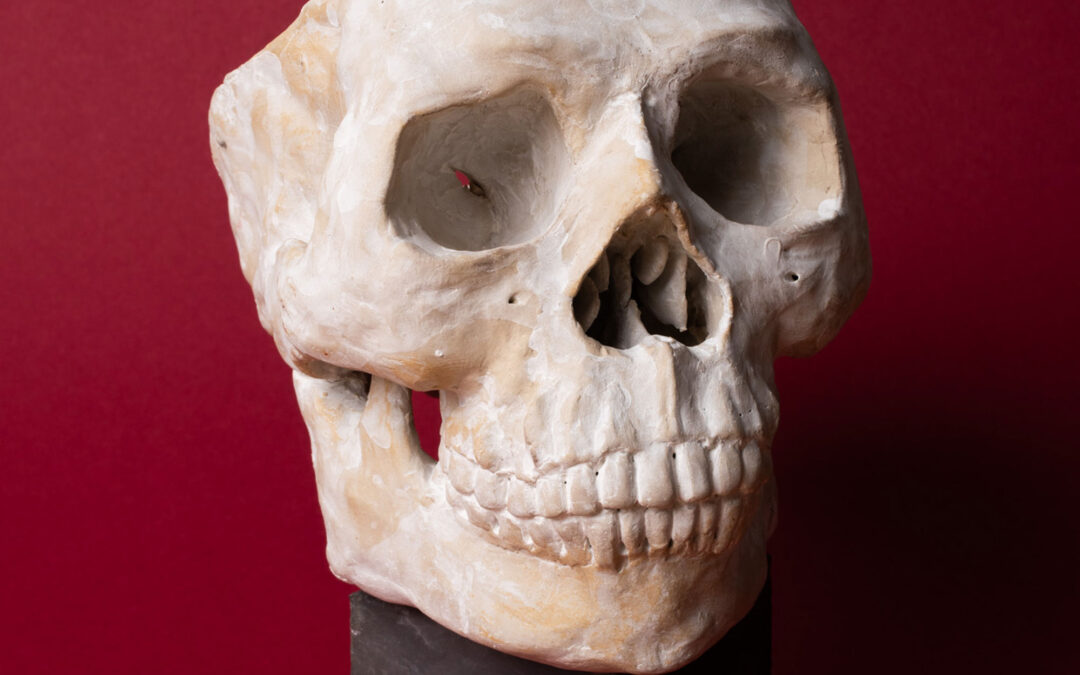 Fake – skull, fossils, pompei gobelet